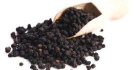 Ciemnoniebiesko-fioletowe jagody bzu czarnego, znane również jako czarny bzu