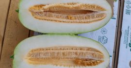 Witam, na sprzedaż melon import ze słonecznego Uzbekistanu, pakowanie