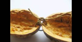 Kupię TYLKO ŁUPINĘ orzecha włoskiego, laskowego i pochodnych. Łupina