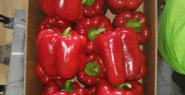 Witam. Gospodarstwo rolne w gminie przytyk na sezon 2019