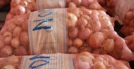 jakość Cebula odbiera od nas więcej informacji lub można