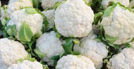 Sprzedam kalafior . Piękny biały spore ilości. Resztę warunków