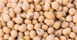 Wartości odżywcze Kalorie: 173. Woda: 63% Białko: 16,6 gramów.