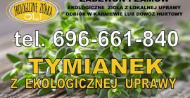 Ekologiczna, certyfikowana uprawa tymianku. Możliwość wysyłki pocztą.