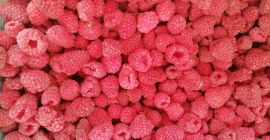 Oferujemy produkty mrożone! Dostępne mrożone jagody - maliny, jeżyny,