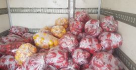 Witam sprzedam pomidory czerwone jak i zielone w razie