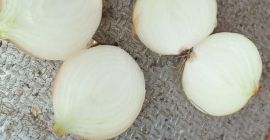 Witam, mam do zaoferowania cebule białą w łusce, kaliber