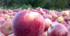 Twoje zdjęcie profilowe