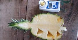 Mamy dostępny ananas z Wybrzeża Kości Słoniowej w zachodniej