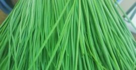 Cześć, Jesteśmy hodowcą warzyw i ziół W Tanzanii możemy