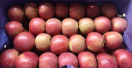 Dostępna ilość tygodniowo: 1512 drewnianych skrzynek a'13 kg na