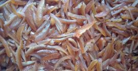 Sprzedam skórkę z pomarańczy kandyzowaną Duże ilości ,niska cena