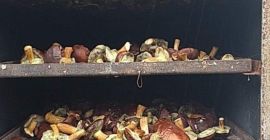Witam posiadam na sprzedaż podgrzybki suszony ok 35kg więcej