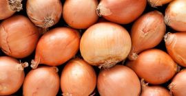 jeśli chcesz, możemy omówić jego cenę. Naturalnie cebula z