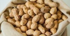 jeśli chcesz, możemy przedyskutować cenę, numer rozmowy w języku