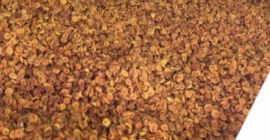 MORELE SUSZONE słodkie 1) Do przetworów : 6,50 zł/kg