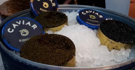 Czarna ikona OSIETRA / OSSETRA / OSSIOTR średnica jajka