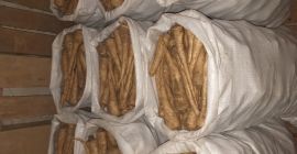 Kupuję białą pietruszkę, rozmiar handlowy. Wybierz ręcznie