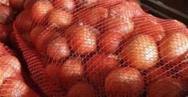 Sprzedam cebule workowaną Kaliber 4-7 Odmiana - Bosco,Banco (Syngenta)