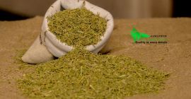 NASIONA CUMINY MOQ 18 TON FIRSTEYE AGRO EXPORT web