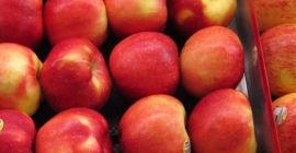 Jesteśmy jednym z wiodących eksporterów świeżych jabłek z Polski.