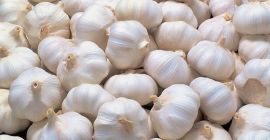 Pakiet na nowy świeży czosnek 2015: worek 5 kg