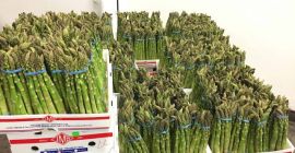 Produkują świeże warzywa