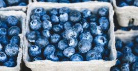 Dostępne świeże i mrożone