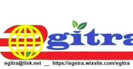 Świeże pomarańcze pępkowe - klasa 1 - rozmiar 48-56-64