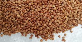 Sprzedajemy grykę doskonałej jakości! W workach po 25 lub