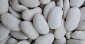 Sprzedajemy fasolę różnych odmian i różnych kalibrów. Oferujemy fasolę