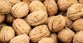 Sprzedam orzechy włoskie z prywatnej działki położonej daleko od