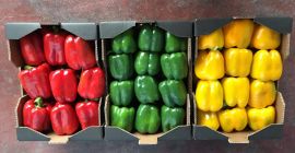 CZERWONE PIEPRZ KALIFORNIA, kaliber M / G / GG,