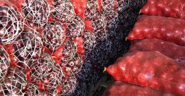 świeża cebula: Pochodzenie: Syria. Odmiana: złota cebula Rozmiary: wszystkie