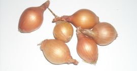 Producent cebuli dymki oferuje towar bardzo dobrej jakości. Posiadamy