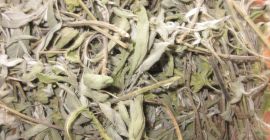 Oferta: herbata (szałwia), Salvia officinalis, vintage 2020 Kiełki /
