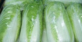 Sprzedam piękną kapustę pekińską, duże zdrowe główki, zielona!