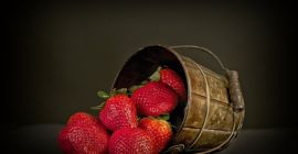 W sezonie 2018 sprzedam hurtowe ilości truskawek przemysłowych bez