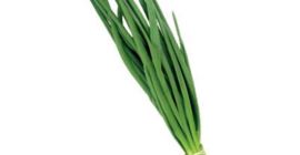 Cebulka ze szczypiorkiem Spakowane na gotowo Poszukuje producentów do