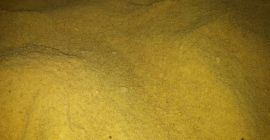 Sprzedam pełnotłustą śrutę sojową bez gmo, możliwy transport, luzem