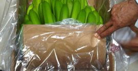 Wysyłamy na terenie całej Unii Europejskiej. Skontaktuj się z