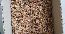 Firma sprzedaje orzech ukraiński po okazyjnych cenach. Firma działa