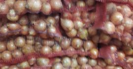 sprzedam cebule ilości całosamochdowe Dariusz Kowalczyk NIP:618-100-89-64 Regon:250476826-00030 e-mail: