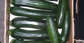 ZUCCHINI / COURGETTE - kaliber 14-21 cm / 21-30
