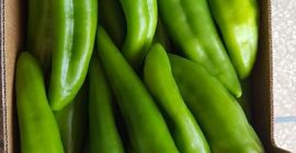 WŁOSKA ZIELONA PIEPRZ - kaliber 40-60 50-70 70-90 -