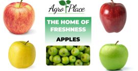 Oferujemy: czerwone pyszne jabłka, galowe jabłka, złote pyszne jabłka,