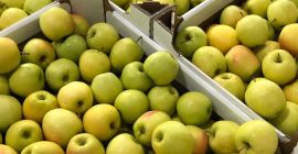 Sprzedam Golden Delicious 6-9 w każdym pakiecie