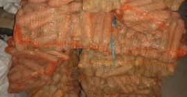 Sprzedam marchew jadalna