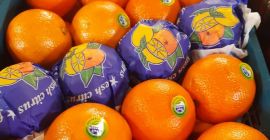 Sprzedam pomarańcze kraj pochodzenia Iran. Opakowanie skrzynke plastikowe. Ilości