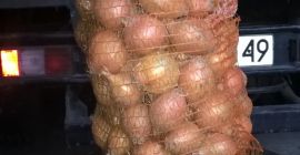 Sprzedam cebulę żółta. W workach 5-15kg. Przebierana recznie.